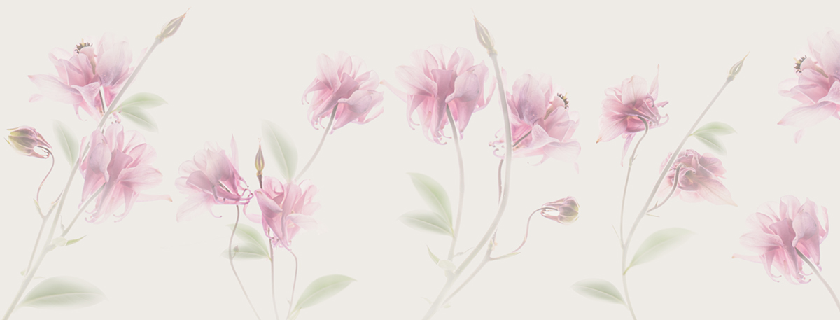 Carta da parati Aquilegia