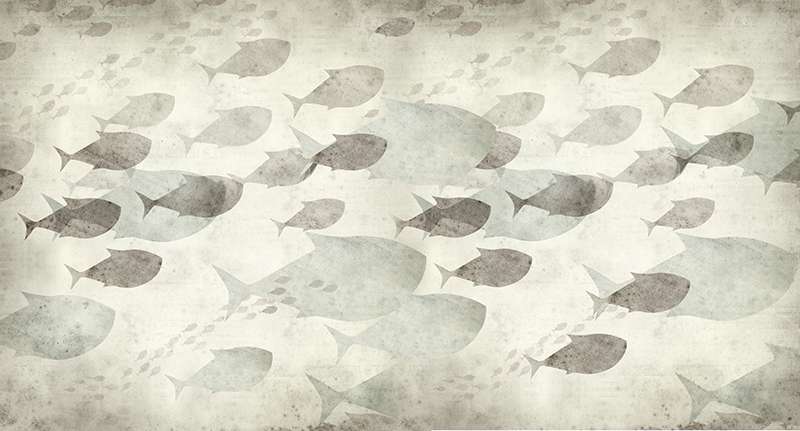 Carta da parati Fish