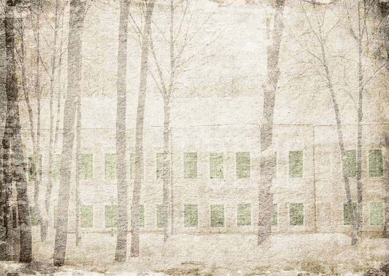 Carta da parati Green Windows