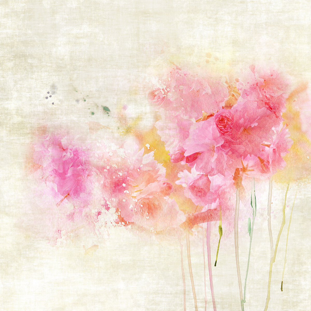Carta da parati Rose