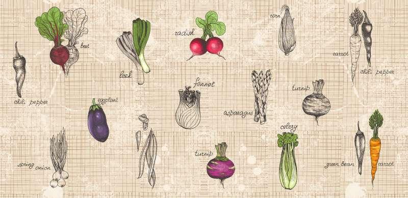 Carta da parati Vegetables
