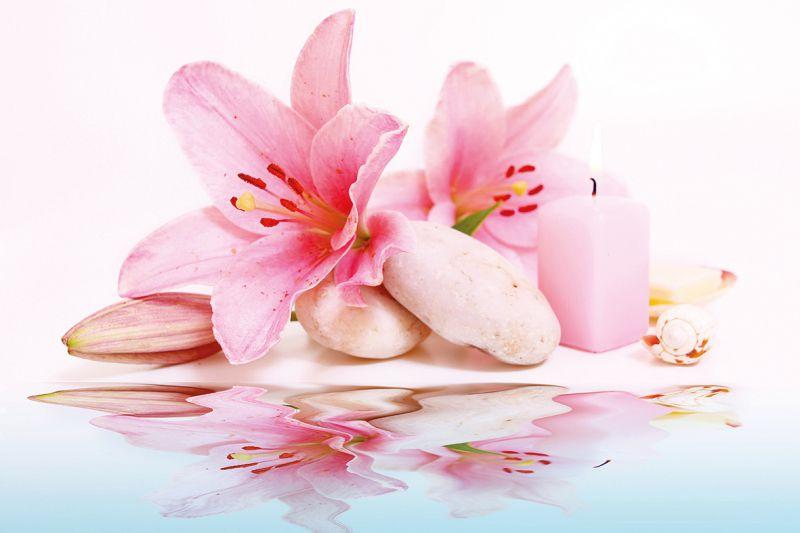 Carta da parati Fiori Rosa