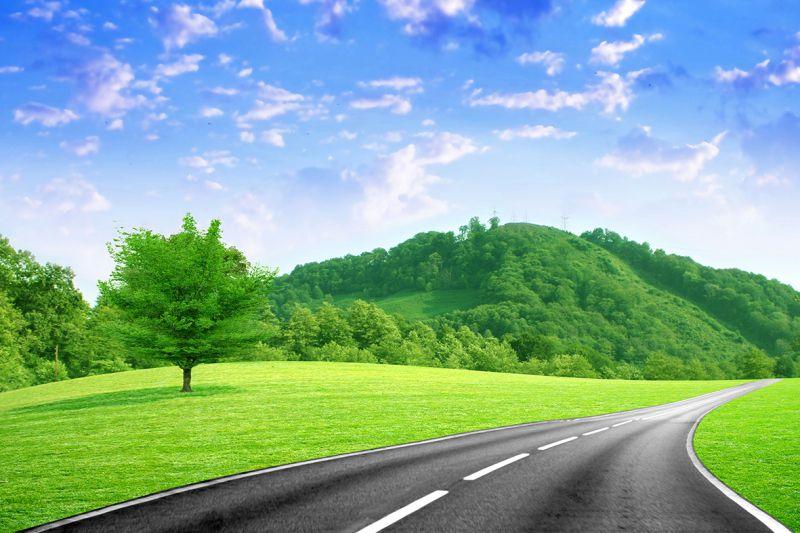 Carta da parati Strada Campagna