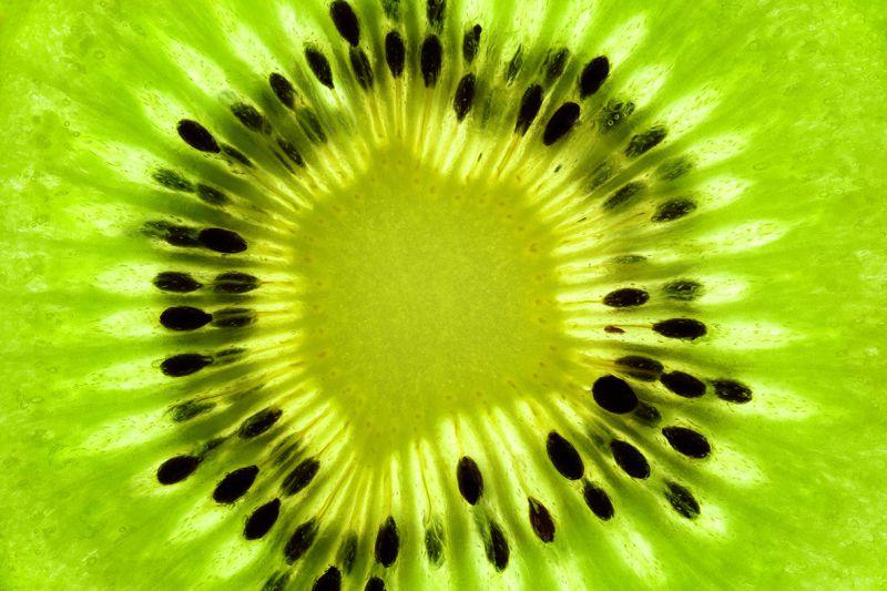 Carta da parati Kiwi macro