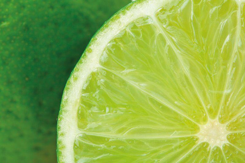 Carta da parati Limone Spicchio