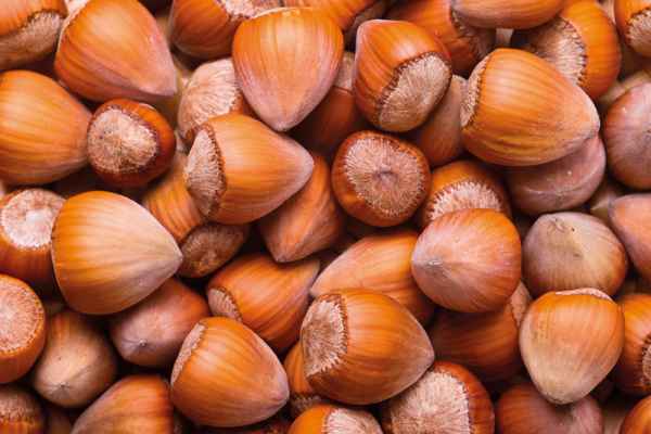 Carta da parati Nocciole