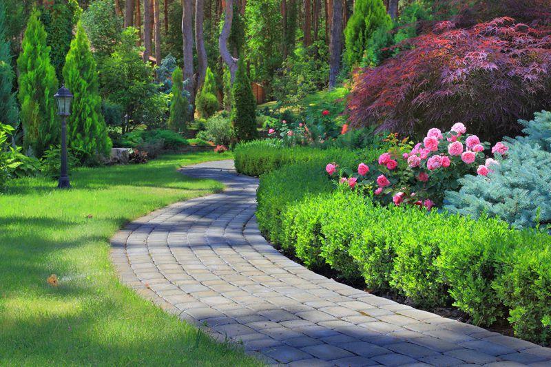 Carta da parati Vialetto giardino
