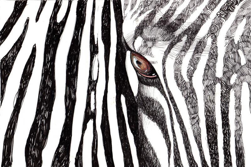 Carta da parati Zebra