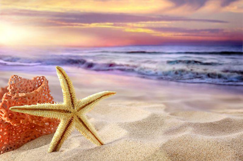 Carta da parati Tropical Beach