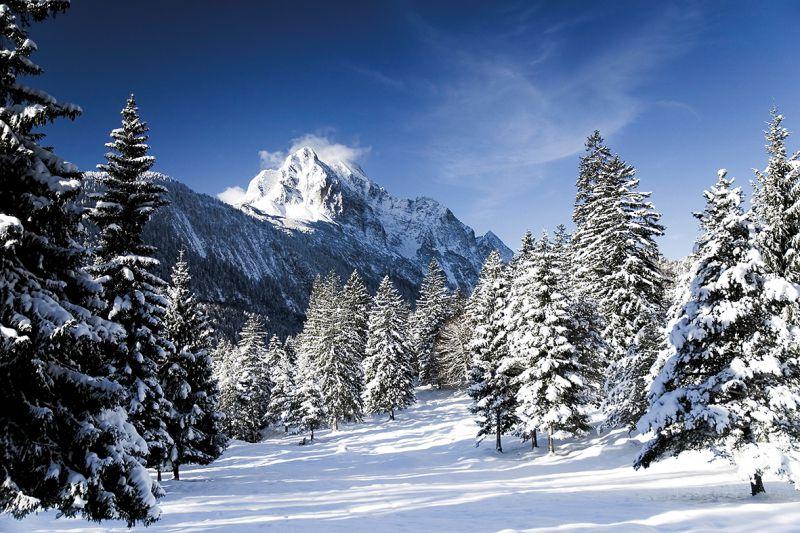 Carta da parati Inverno 1