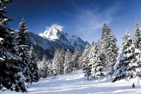 Carta da parati Inverno 1