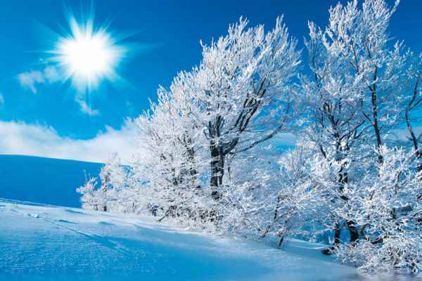 Carta da parati Inverno