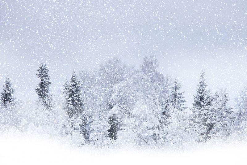 Carta da parati Nevicata