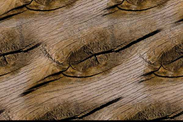 Carta da parati Nodi Legno