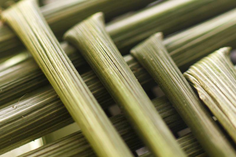 Carta da parati Stelo di grano