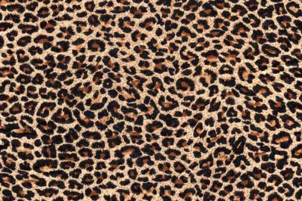 Carta da parati Stoffa Leopardata