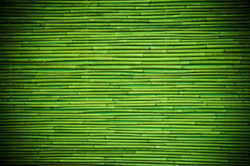 Carta da parati Tappeto bamboo