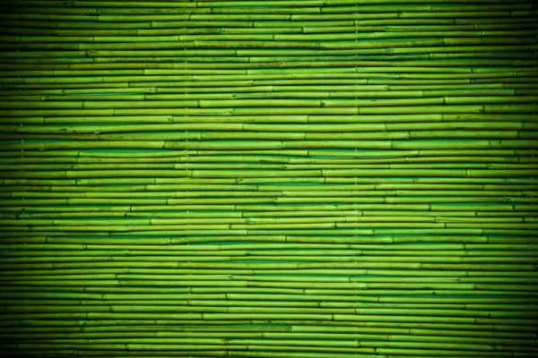 Carta da parati Tappeto bamboo