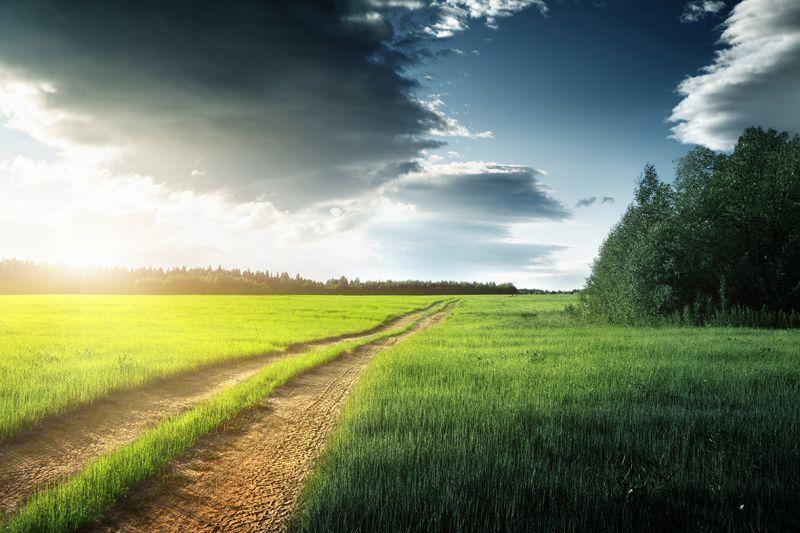 Carta da parati Tramonto in campagna