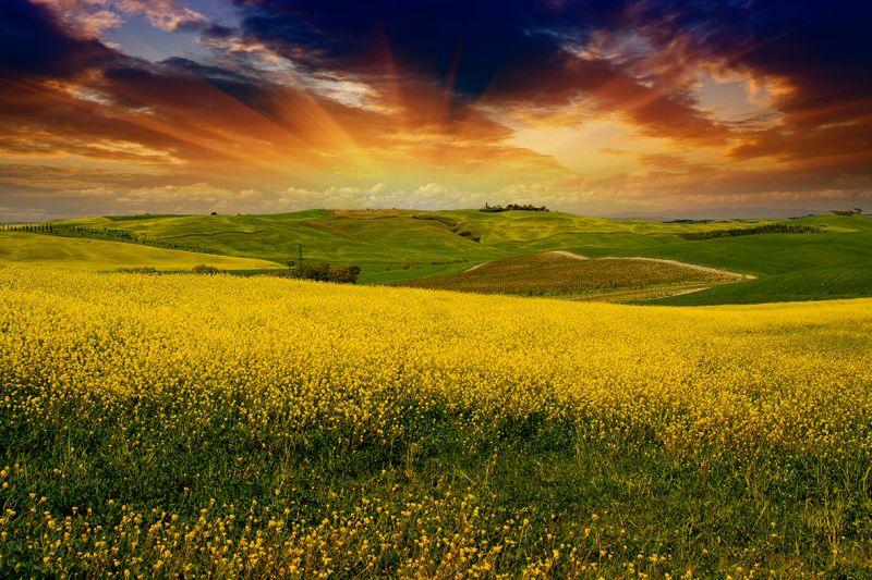 Carta da parati Tramonto primaverile