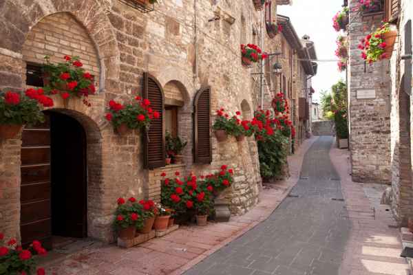 Carta da parati Assisi
